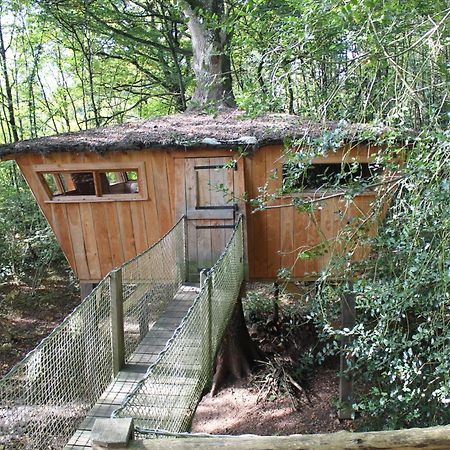 Les Ecolodges De L'Orbiere Forcé Exteriér fotografie