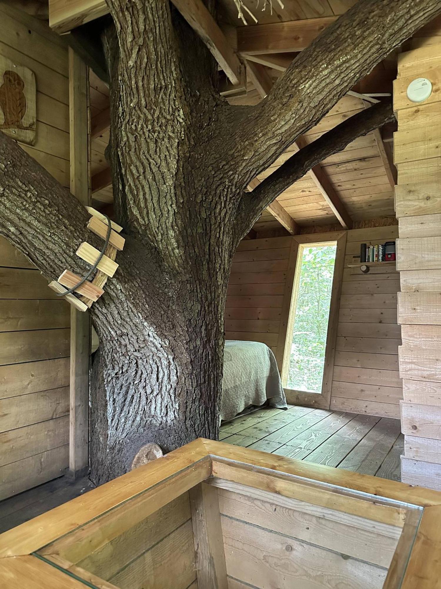 Les Ecolodges De L'Orbiere Forcé Exteriér fotografie
