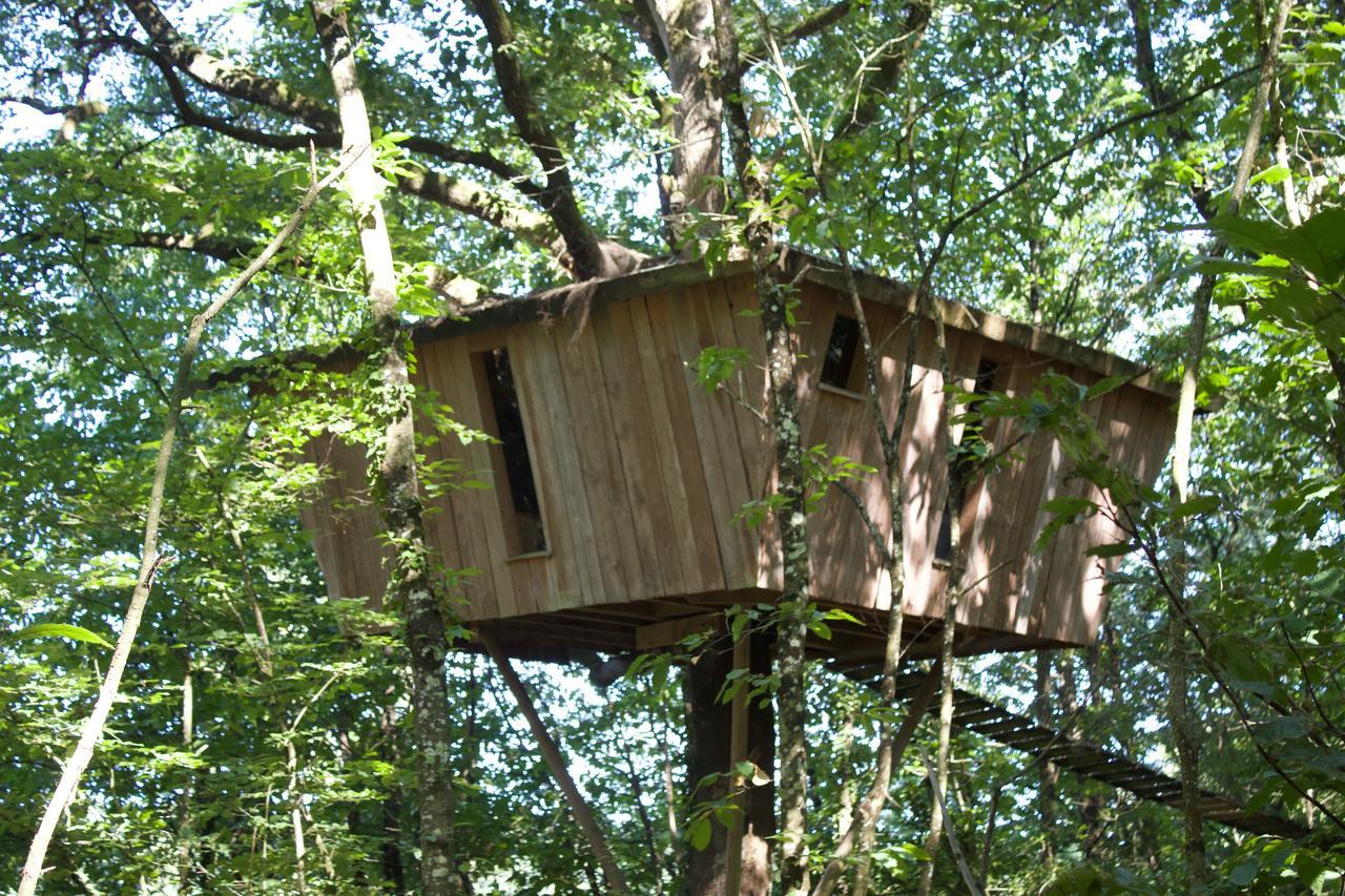 Les Ecolodges De L'Orbiere Forcé Exteriér fotografie