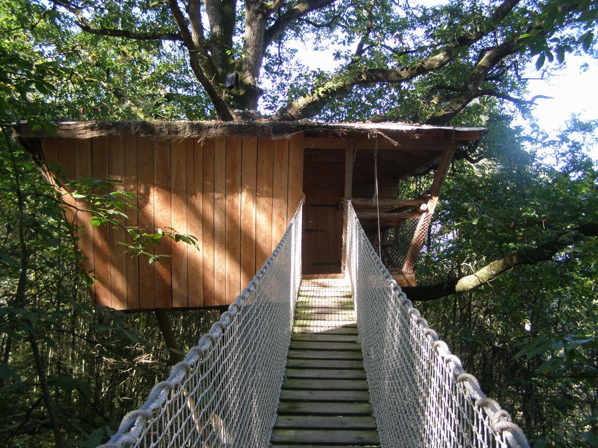 Les Ecolodges De L'Orbiere Forcé Exteriér fotografie