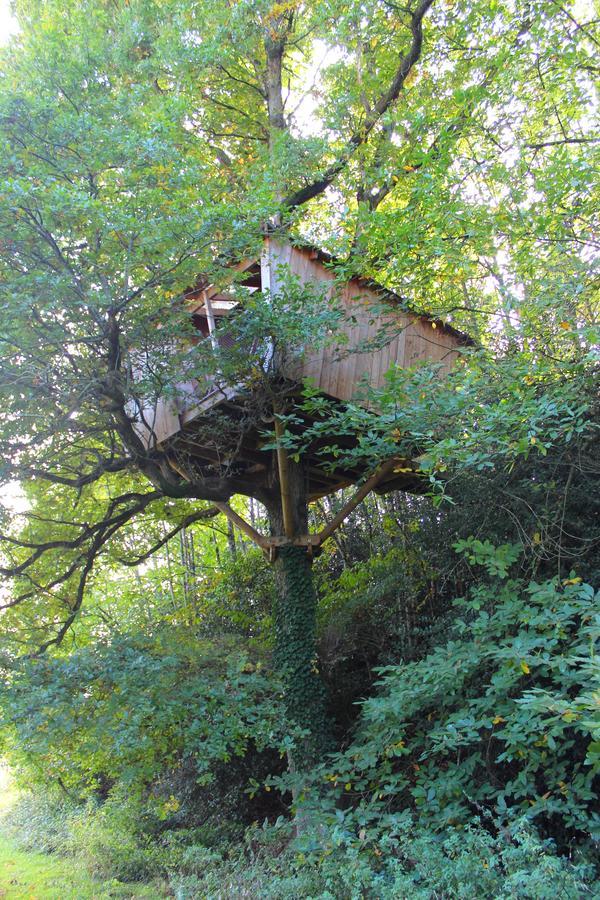 Les Ecolodges De L'Orbiere Forcé Exteriér fotografie