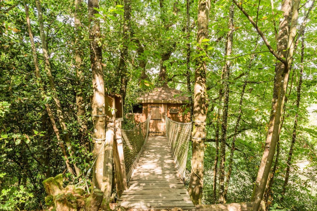 Les Ecolodges De L'Orbiere Forcé Exteriér fotografie