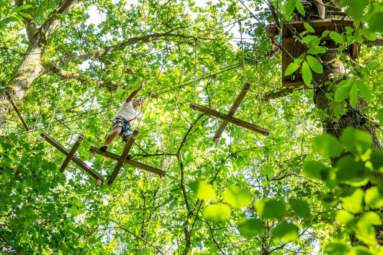 Les Ecolodges De L'Orbiere Forcé Exteriér fotografie