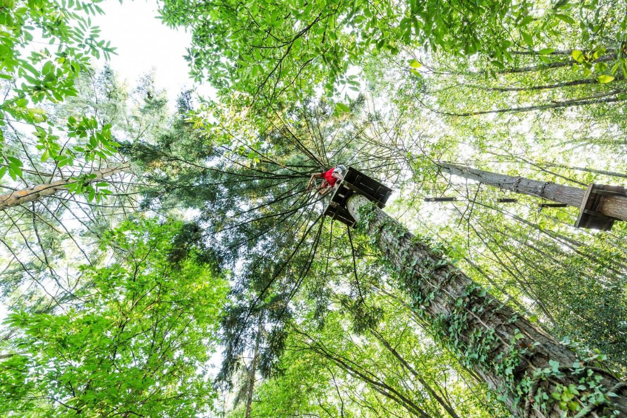 Les Ecolodges De L'Orbiere Forcé Exteriér fotografie